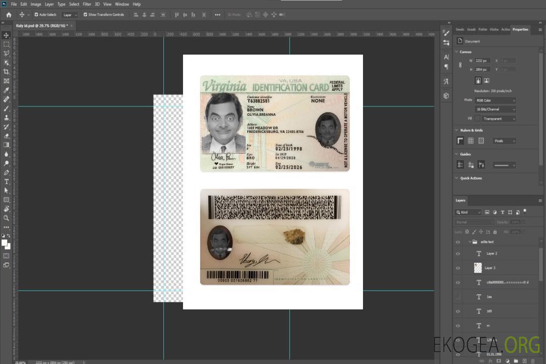 Carte d'identité de Virginie aux États-Unis template Carte d'identité de Virginie aux États-Unis template